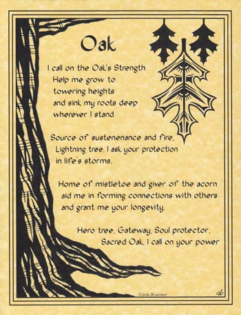 (image for) Oak