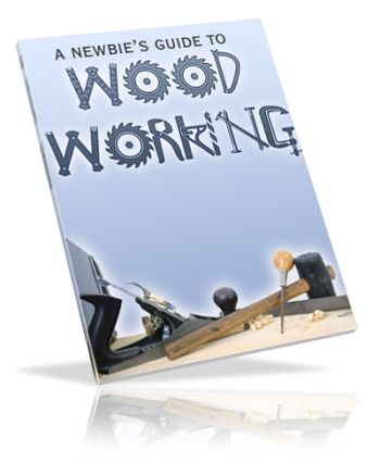 A Newbie’s Guide To Woodworking (PLR)