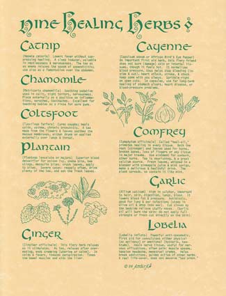 9 Herbs poster
