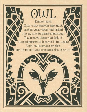 (image for) Owl