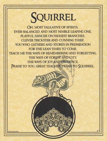 Squirrel Prayer