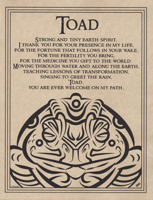 Toad Blessing