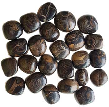 (image for) 1 lb Stromatolite (onyx Brown) tumbled stones