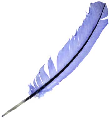 (image for) Blue feather - Click Image to Close